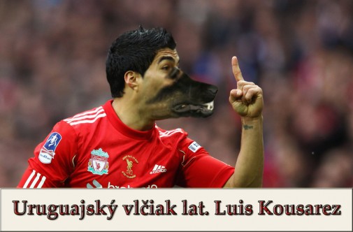 Vlciak uruguajsky lat. Luis Kousarez